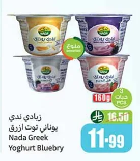 Nada Greek Blueberry Yogurt
