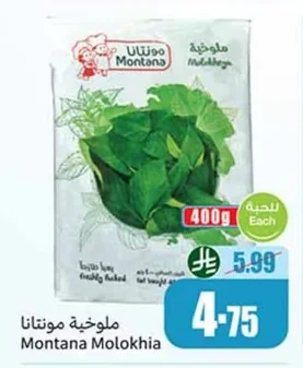 Molokhia