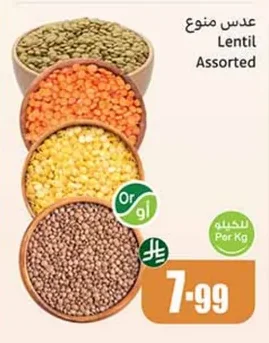 Lentil Assorted