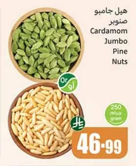 Cardamom Jumbo Pine Nuts