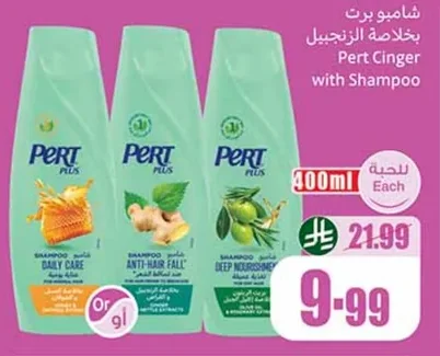 Ginger Extract Shampoo