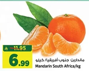 Mandarin South Africa