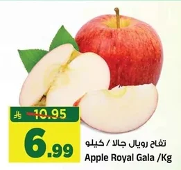 Apple Royal Gala