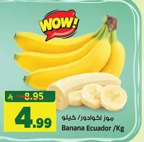موز اكوادور