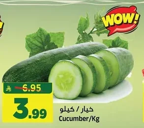 Cucumber