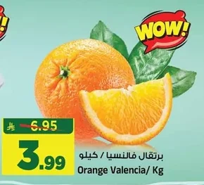 برتقال فالنسيا