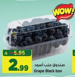 صندوق عنب أسود
