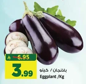 Eggplant /Kg
