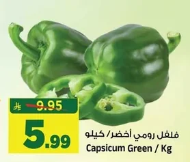 فلفل رومي أخضر / كيلو
