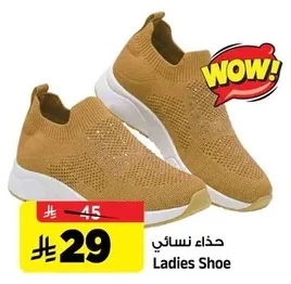 Ladies Shoe