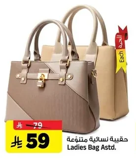Ladies Bag Astd.