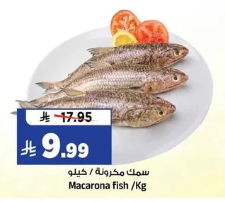 Macarona fish