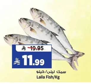 Laila Fish