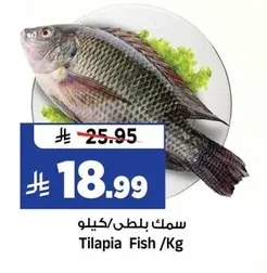 سمك بلطي