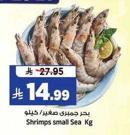 بحر جمبرى صغير