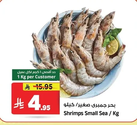 بحر جمبري صغير / كيلو