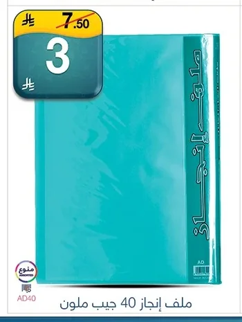 40 Pocket Presentation Book