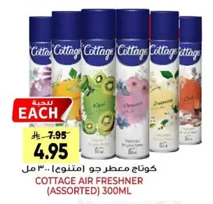 Air Freshener (Assorted)