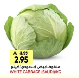 WHITE CABBAGE (SAUDI)/KG