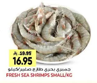 جمبري بحري طازج صغير/كيلو