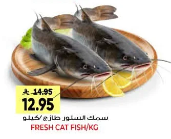 FRESH CAT FISH/KG