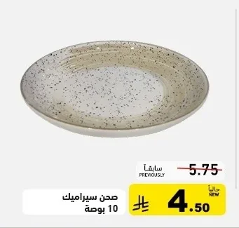 Ceramic Plate 10 inch