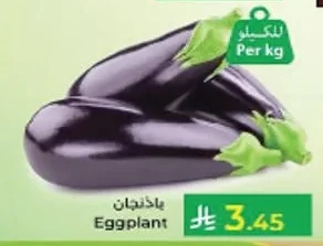 باذنجان