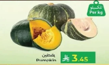 يقطين