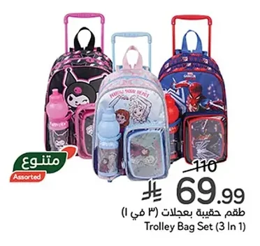 Trolley Bag Set (3 In 1)