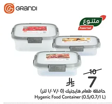 Hygienic Food Container (0.5/0.7/1 L)