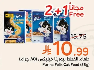 طعام القطط بيورنا فيليكس