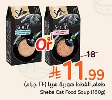 طعام القطط شوربة شيبا