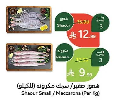 شعور صغير / سمك مكرونه