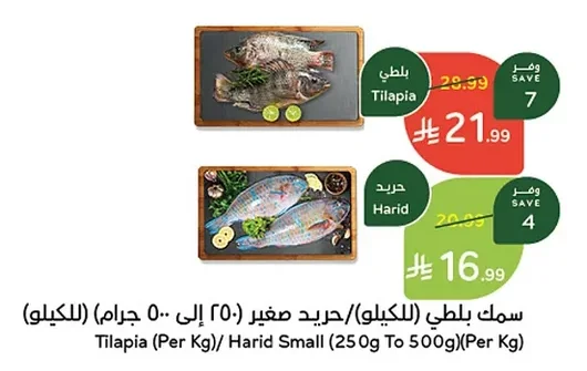 Tilapia (Per Kg)/ Harid Small (250G To 500G)(Per Kg)