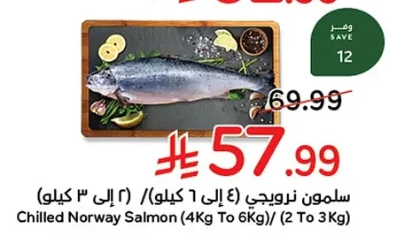 Chilled Norway Salmon (4Kg To 6Kg)/ (2 To 3Kg)