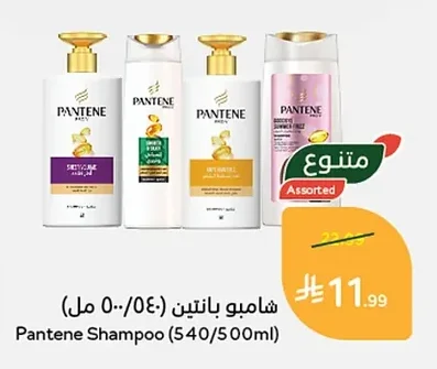 Shampoo
