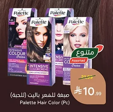 Palette Hair Color