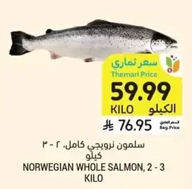 NORWEGIAN WHOLE SALMON, 2 - 3 KILO