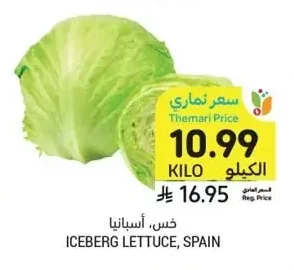 ICEBERG LETTUCE, SPAIN
