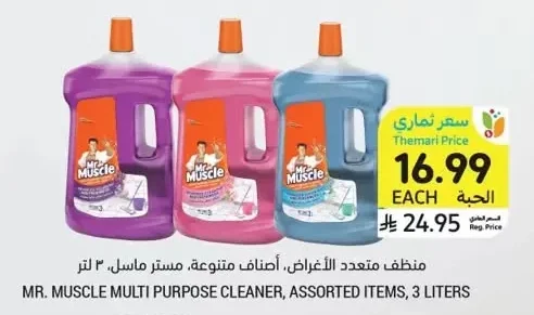 Multi Purpose Cleaner, Assorted, Mr. Muscle, 3 Liters