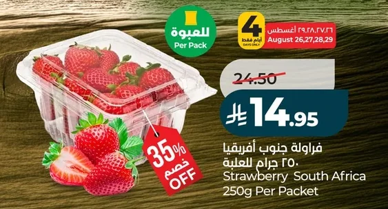 فراولة جنوب أفريقيا