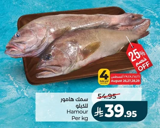 سمك هامور