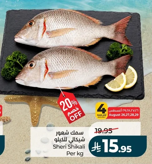 سمك شعور