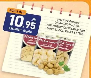 هيبا فطر