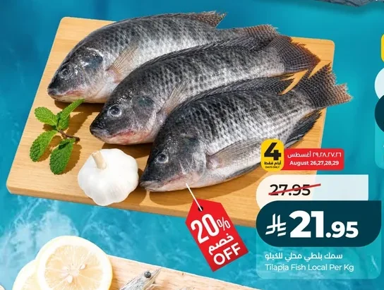 سمك بلطي محلي