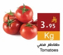طماطم محمي