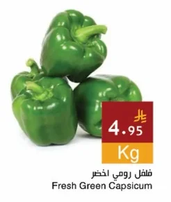 فلفل رومي اخضر