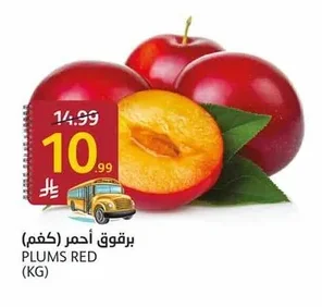 برقوق أحمر