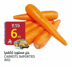 جزر مستورد