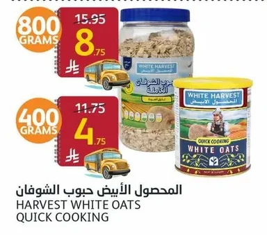 المحصول الأبيض حبوب الشوفان